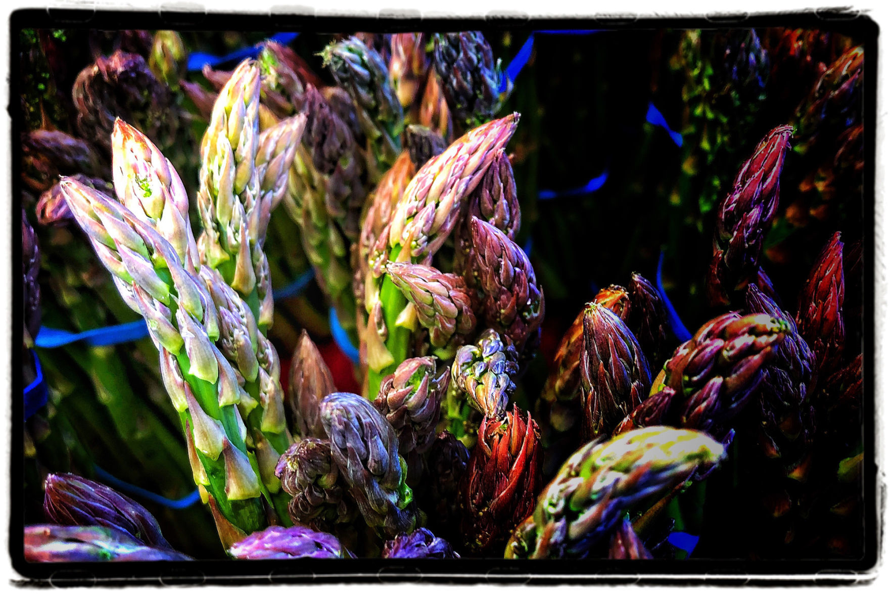 Farmers Market Produce